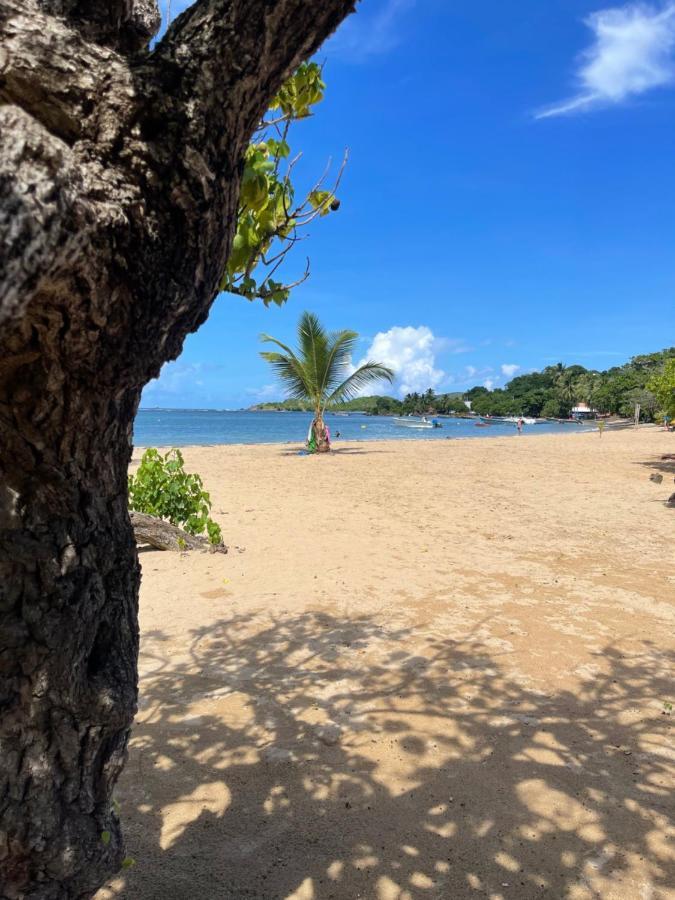 Appartement Vue Mer A 2 Minutes A Pied Des Plages Tartane La Trinité Zewnętrze zdjęcie