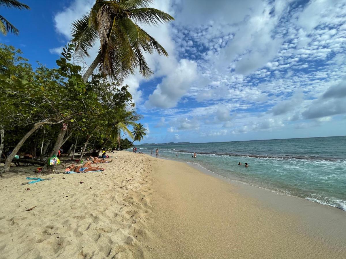 Appartement Vue Mer A 2 Minutes A Pied Des Plages Tartane La Trinité Zewnętrze zdjęcie