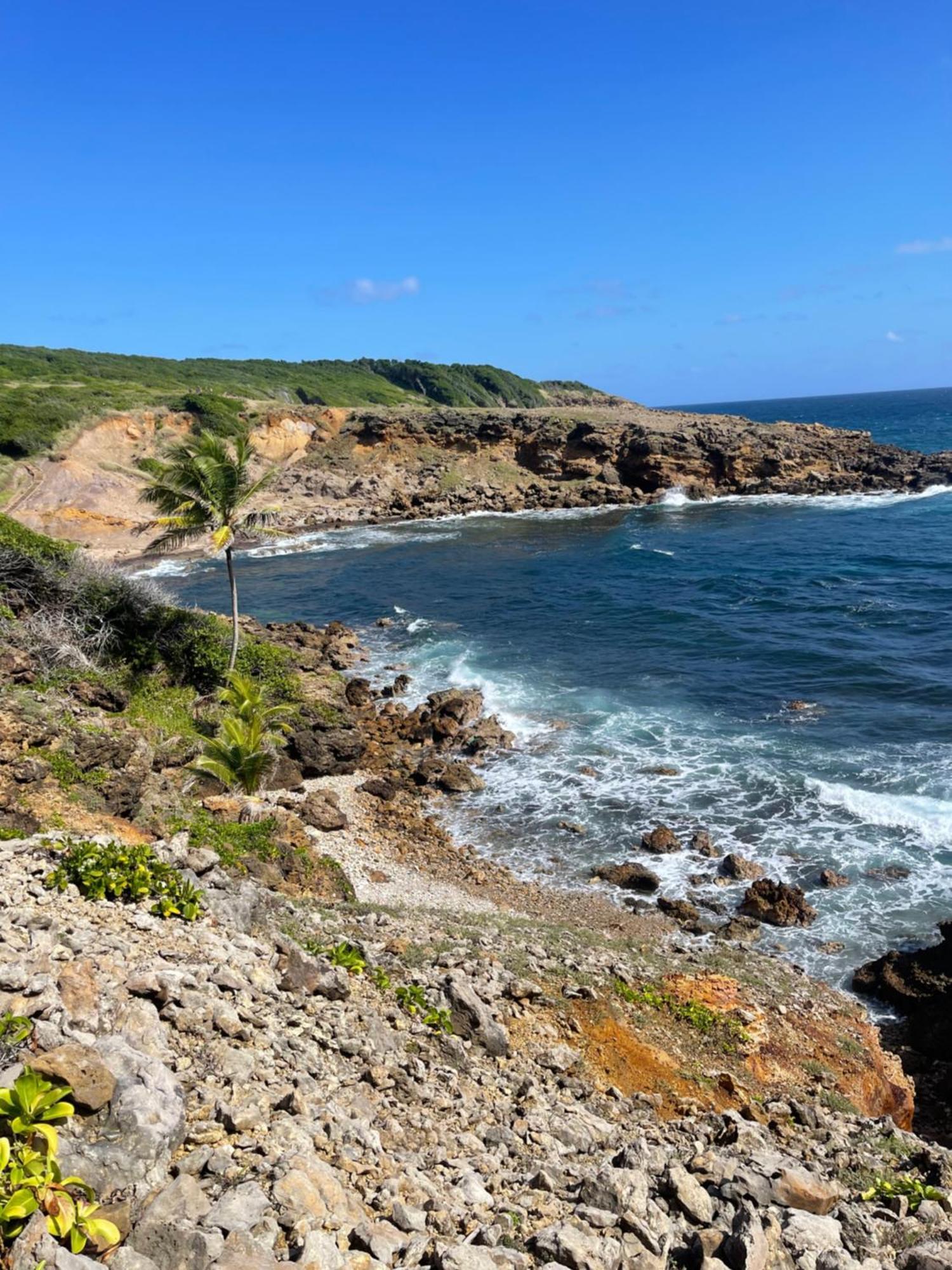 Appartement Vue Mer A 2 Minutes A Pied Des Plages Tartane La Trinité Zewnętrze zdjęcie